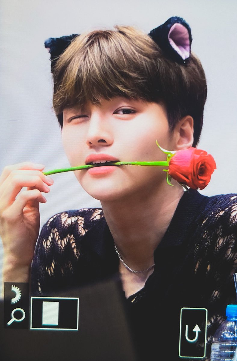 luvmypeachy's tweet photo. 220622  #차준호 #드리핀 #drippin #chajunho #니가내벚꽃이다 https://t.co/4ftc8b0WW6