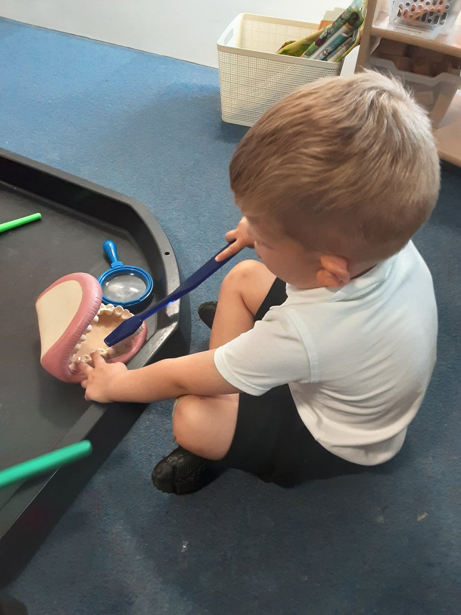 gcpfs1's tweet image. Our topic this term in Waddles Nursery is Teeth to Toes and this week the children have been exploring dental hygiene and the importance of looking after our teeth as well as healthy and unhealthy foods @PrimaryGreat #gcpphysicaldevelopment