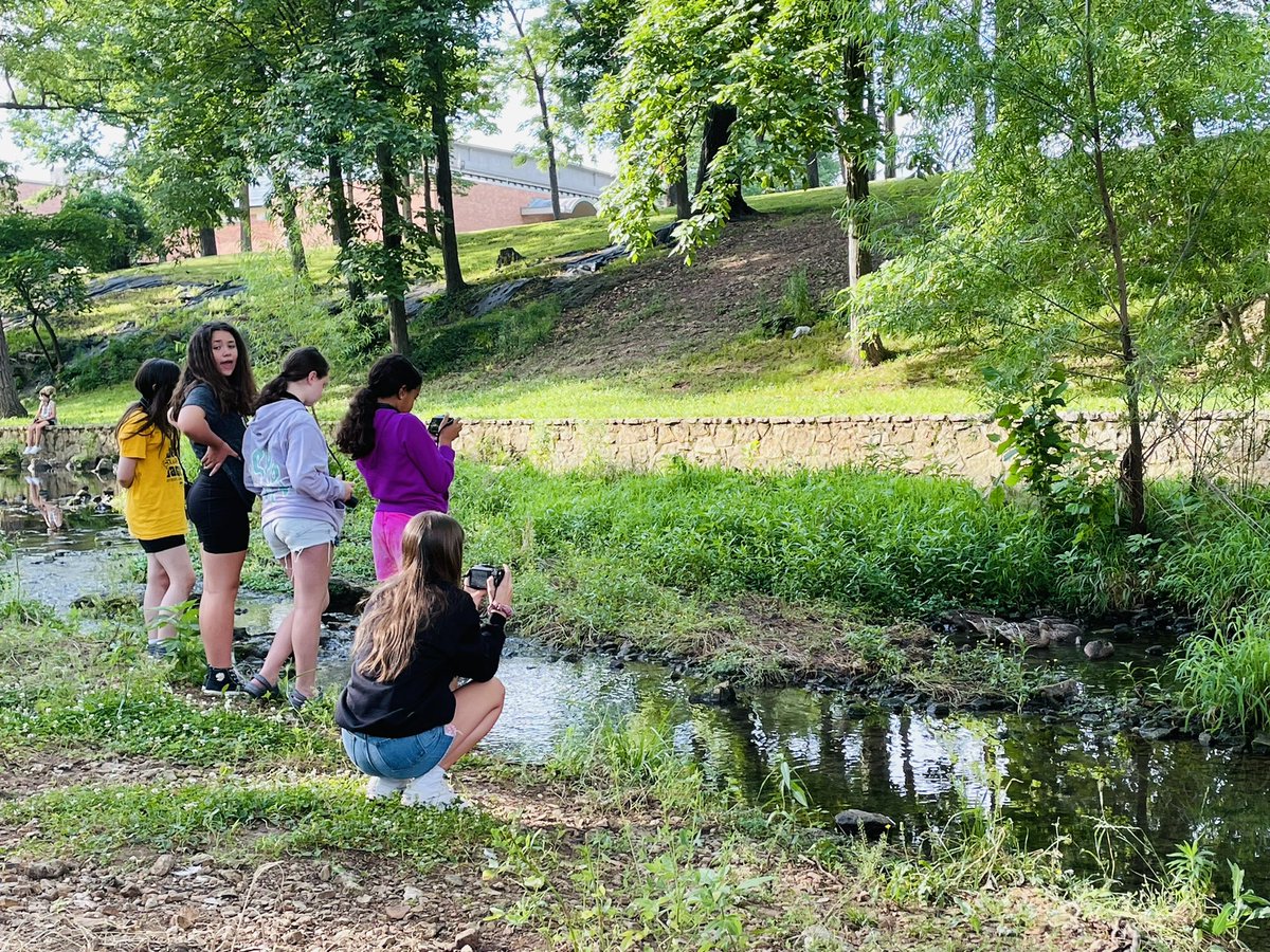 jencottengim's tweet image. Close encounters of the duck kind. Paparazzi on scene to report~ 💕#SPSMSFineArtsProgram @officialSPS #digitalphotgraphyrocks