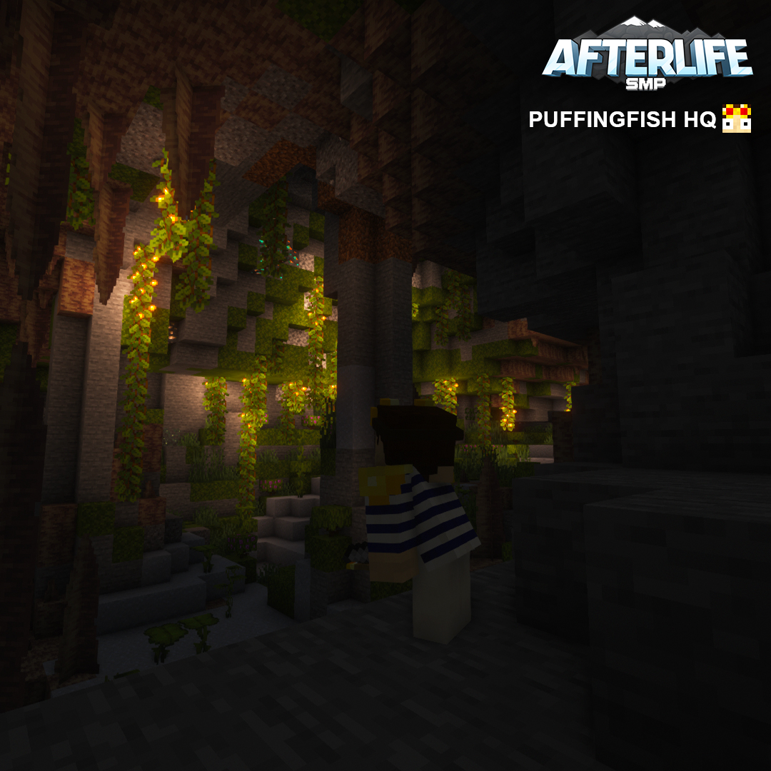 AfterLife SMP tweet media
