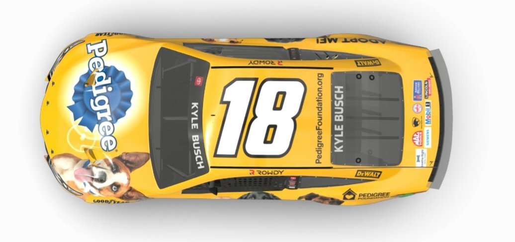 AlertaRacing's tweet photo. Este fin de semana regresa la NASCAR Cup a Nashville y el auto #18 de Kyle Busch no usará su tradicional livery de M&amp;M's.

Pero será por una buena causa, pues por está ocasión portará fotos de perritos, para ayudar a promover la adopción, gracias al sponsor de Pedigree. https://t.co/HBaFSa1a6R
