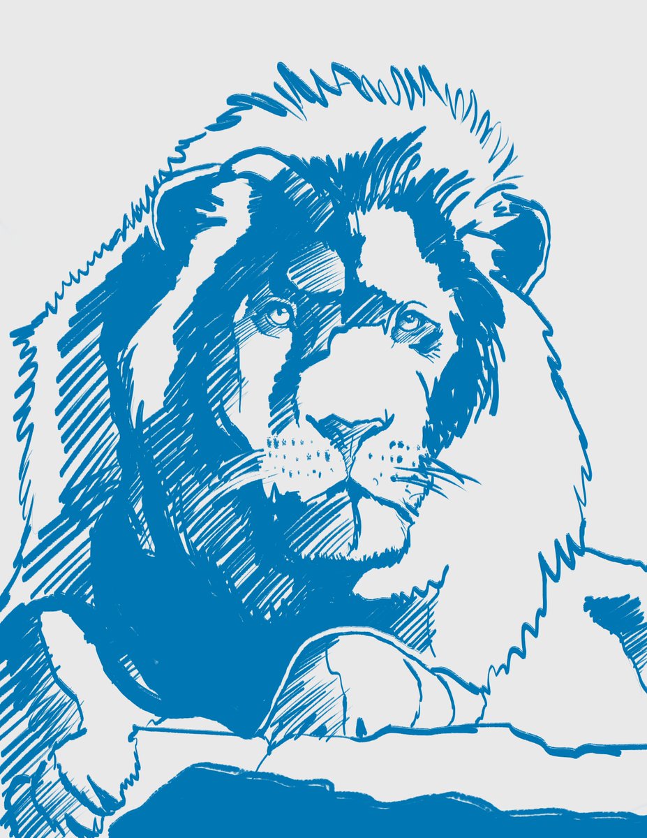 AbrahamE_Cruz's tweet photo. 06/10 drawings, using random images from Stock sites. A cat this time. Hope you like it!
Done in @affinitybyserif using my good old @Wacom_Mx Bamboo Create
#AffinityDesigner #BambooCreate #Sketching #Drawing #Portrait #Lion #Animals https://t.co/pEORVrS2FO