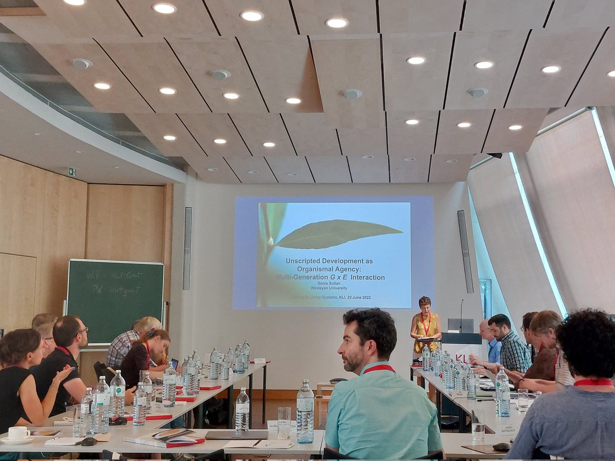 KLIAustria's tweet photo. Co-organizer Sonia Sultan is now taking the stage to talk about her new work under "Unscripted development as organismal agency: multi-generation GxE interaction" #BioAgency #AltenbergWorkshop https://t.co/T4uDXZVZUY