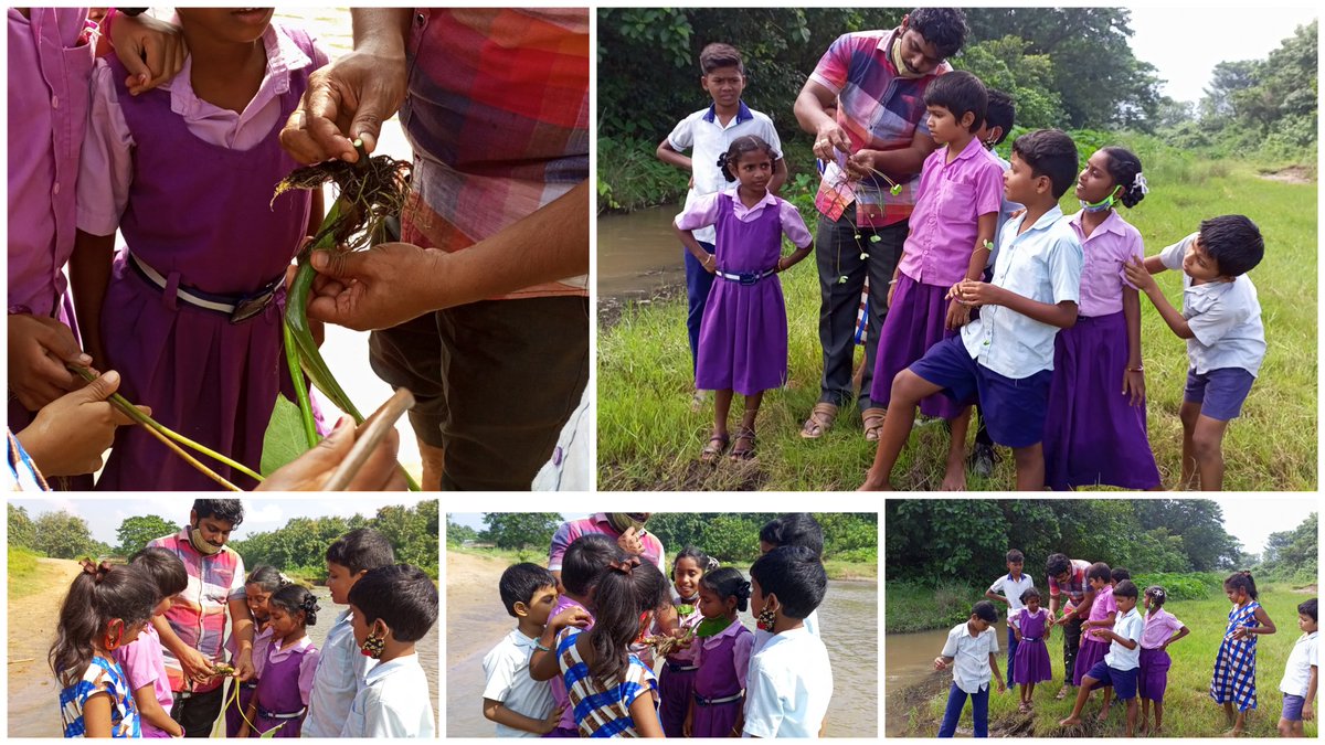 RajeshKouluri's tweet photo. "Green World" The lesson was taught using content videos, later went outside to investigate and explore the plants. And then prepared a plant book, finally shared thier observations through @Flipgrid
#rajclassroom #greenworld #flipgrid https://t.co/xY0Mr2meo5