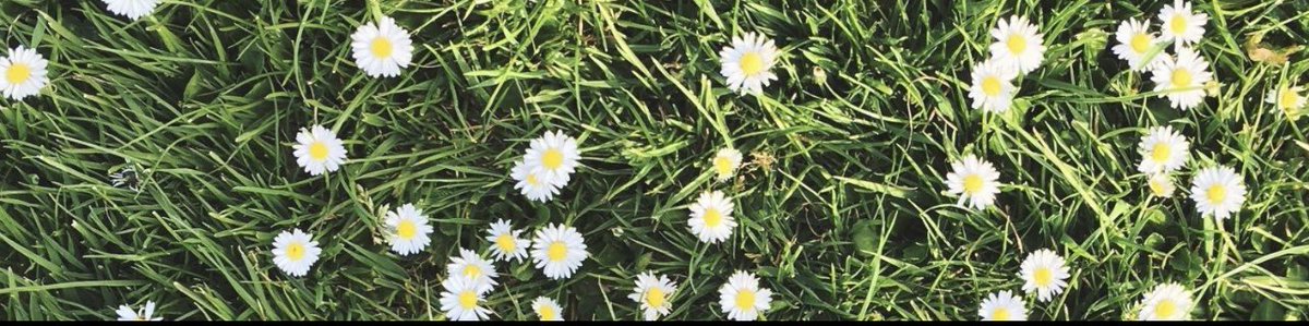 riversbughead's tweet photo. 🌼 https://t.co/ccsajYe285