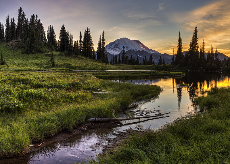 MarkKiver's tweet photo. Mt. Rainier sunset from Tipsoo Lake. Find it here.https://t.co/Lu48z3ZKOQ ✅😊 #FindArtThisSummer #BuyintoArt #MtRainier #SunsetPhotography #Photographylovers #Homedecor #100worksofArt https://t.co/r4ch3RDv4P