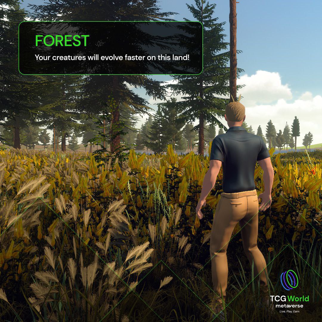 The final region found on the #TCGWorld map is the 🌿Forest🌿

This land has a unique trait: creatures here are able to evolve at a faster rate than anywhere else in the TCG World #Metaverse! 🌲

Travel to the TCG marketplace to see more👇 
tcg.world/forest