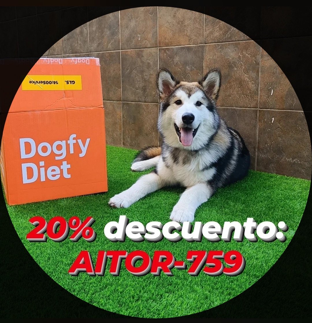 Odin_malamute's tweet photo. Estoy tan feliz y tan contento que por ello os quiero dejar un 20% de descuento en vuestro primer pedido, para que lo probéis vosotros también y quedéis tan satisfechos como yo. 
El código es “AITOR-759” 🥦🍎🥕🥩
#alaskamalamute #puppy @dogfy_diet https://t.co/KK7AZM7qdr