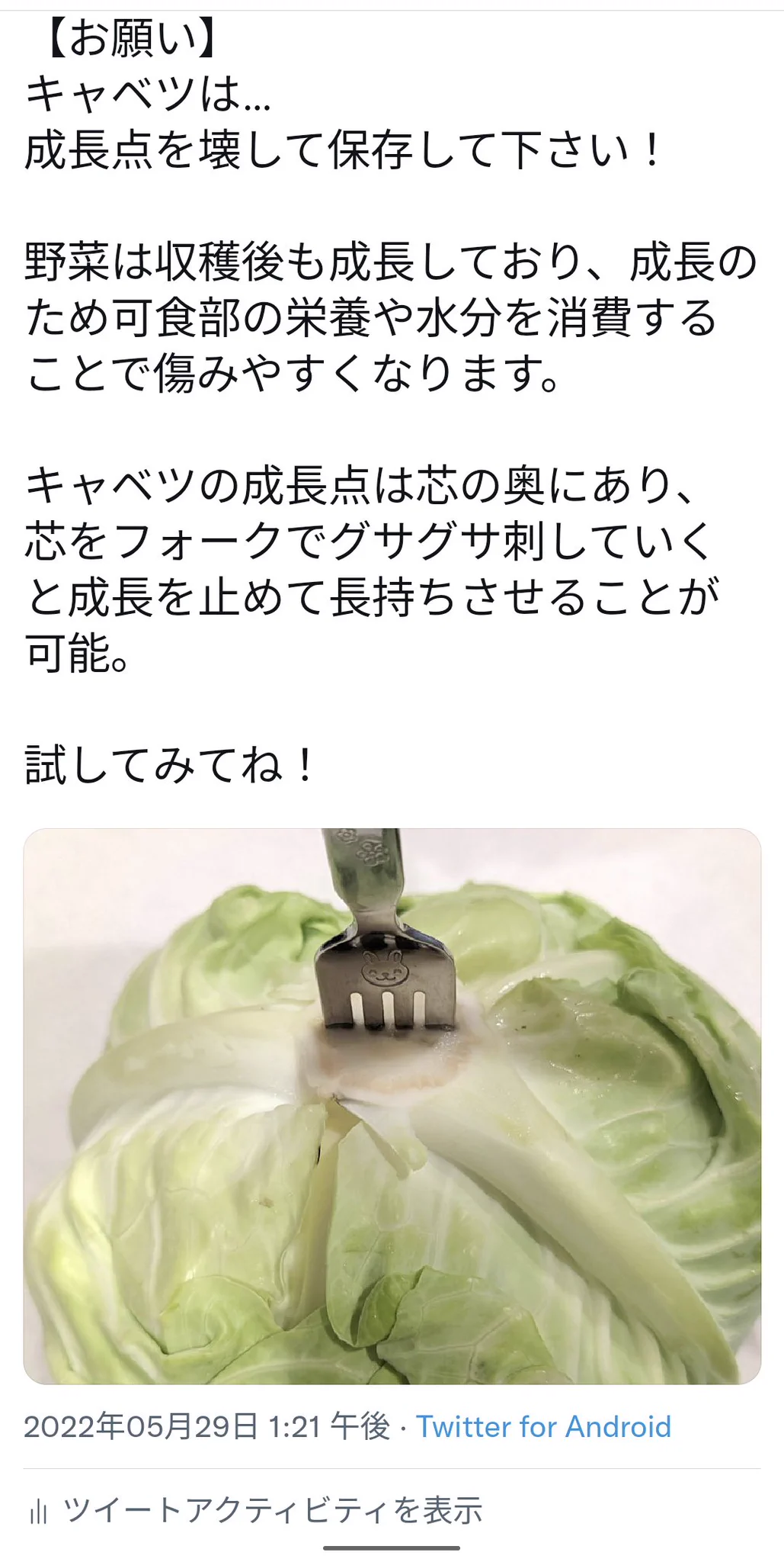 すごく勉強になる！覚えておきたい野菜関係の豆知識たち！