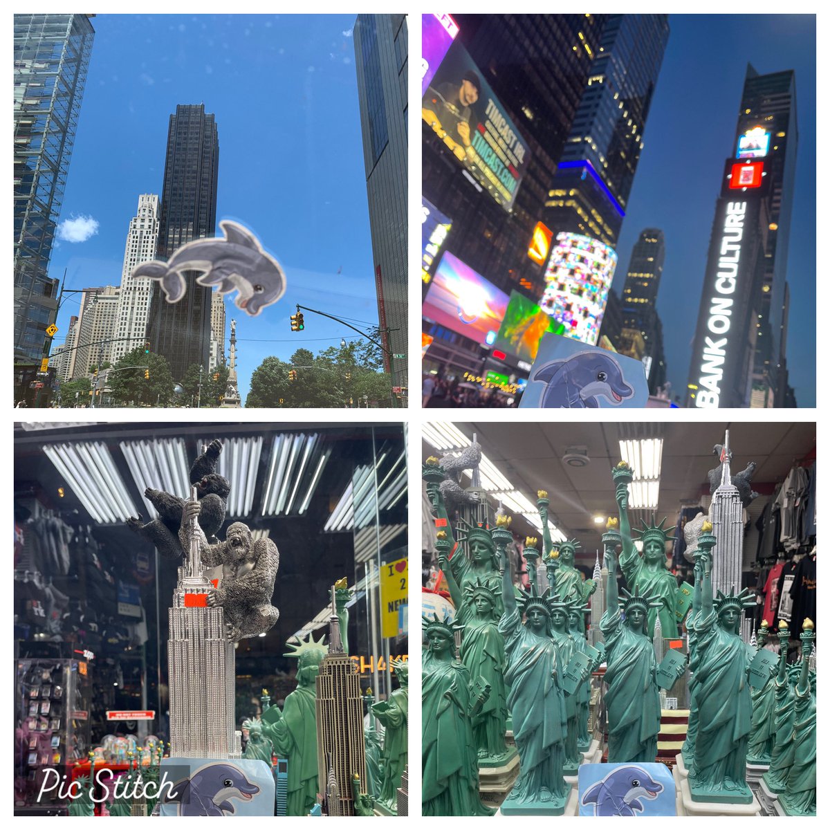 BethSako's tweet photo. Dash made a quick trip to NYC this weekend and visited Times Square, Columbus Circle,as well as  little gift shopping.#DolvINcredible @DolvinES https://t.co/QIuWl0Nc0j