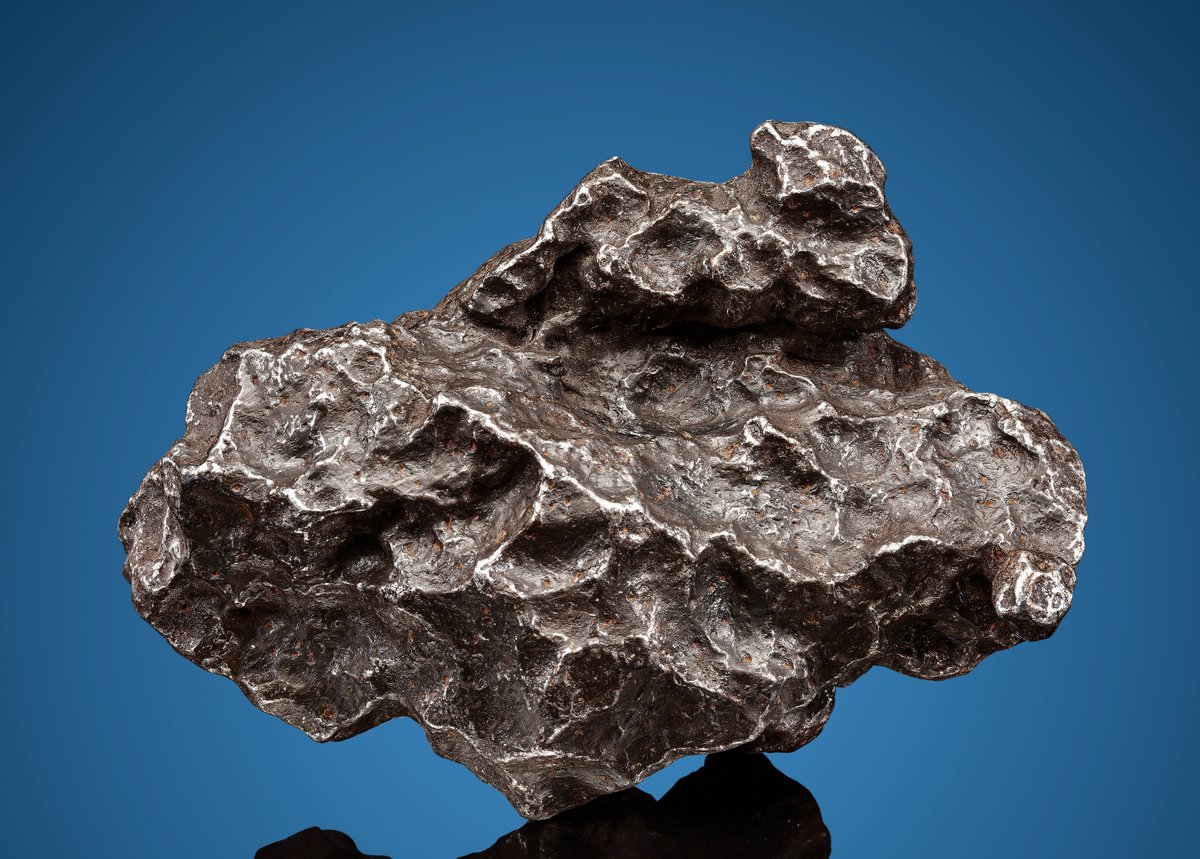 Space Tweep Society tweet media