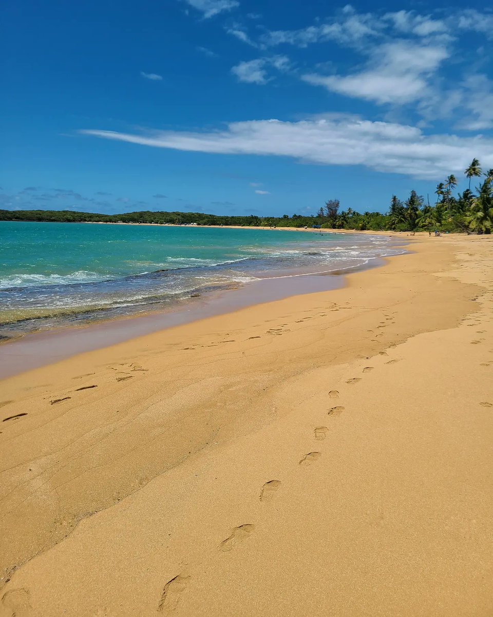 desiredtastes's tweet photo. Favorite things while traveling: Locals showing you where they like to go 🏖 🇵🇷 #WanderlustWednesday #Beach #Playa #LocalRecs #Sand #Beaches #PuertoRico #Loiza #PR #Travel #WomenWhoTravel #SoloTravel #Summer #DesiredTastes https://t.co/gqTz4pv04R