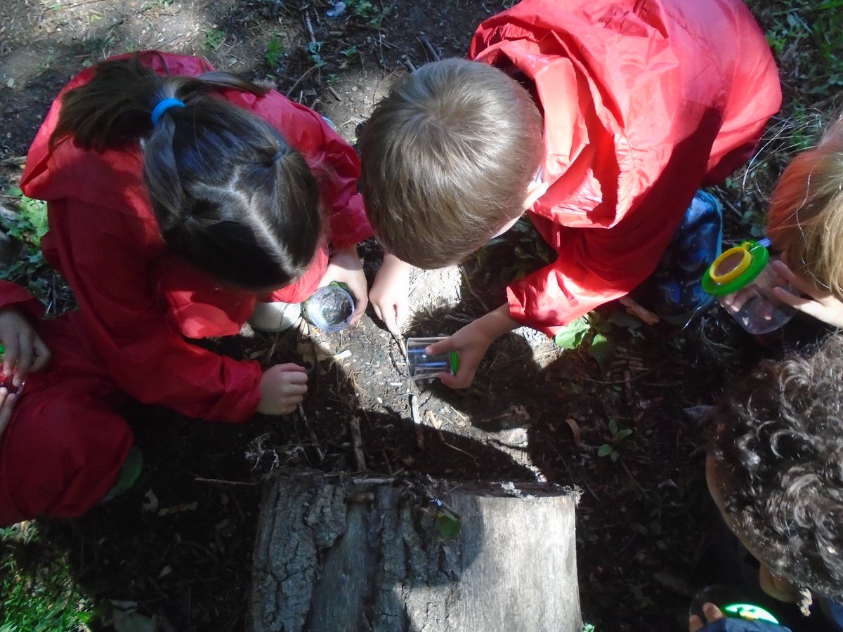 In Forest School, our Reception pupils have been exploring the forest area to find minibeasts and build shelters. They were very excited to find a millipede!