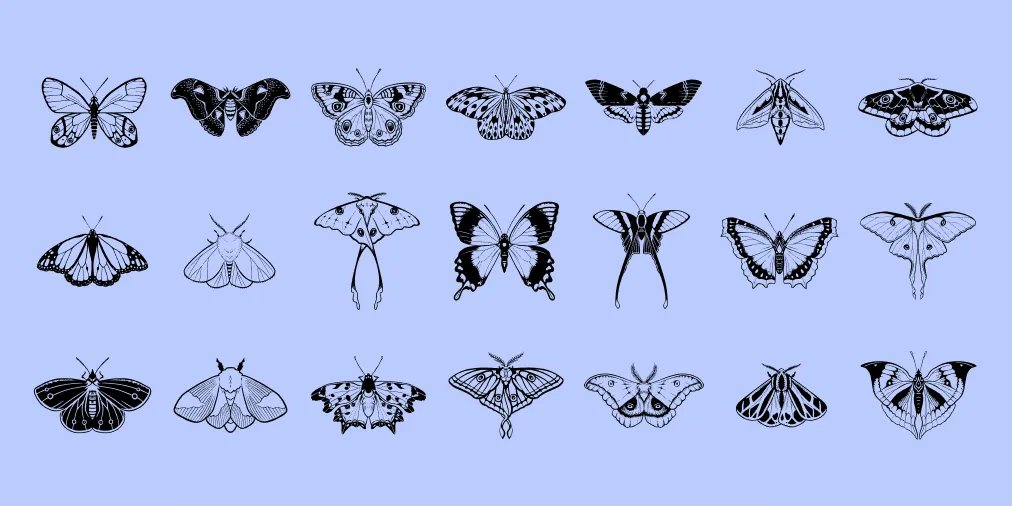 nounproject's tweet photo. Butterflies &amp; Moths icon collection by Imogen Oh: https://t.co/XIhOVv97Bi

#Butterflies #Moths #FieldJournal #ScienceIllustrations https://t.co/H6p4EuX6Jm