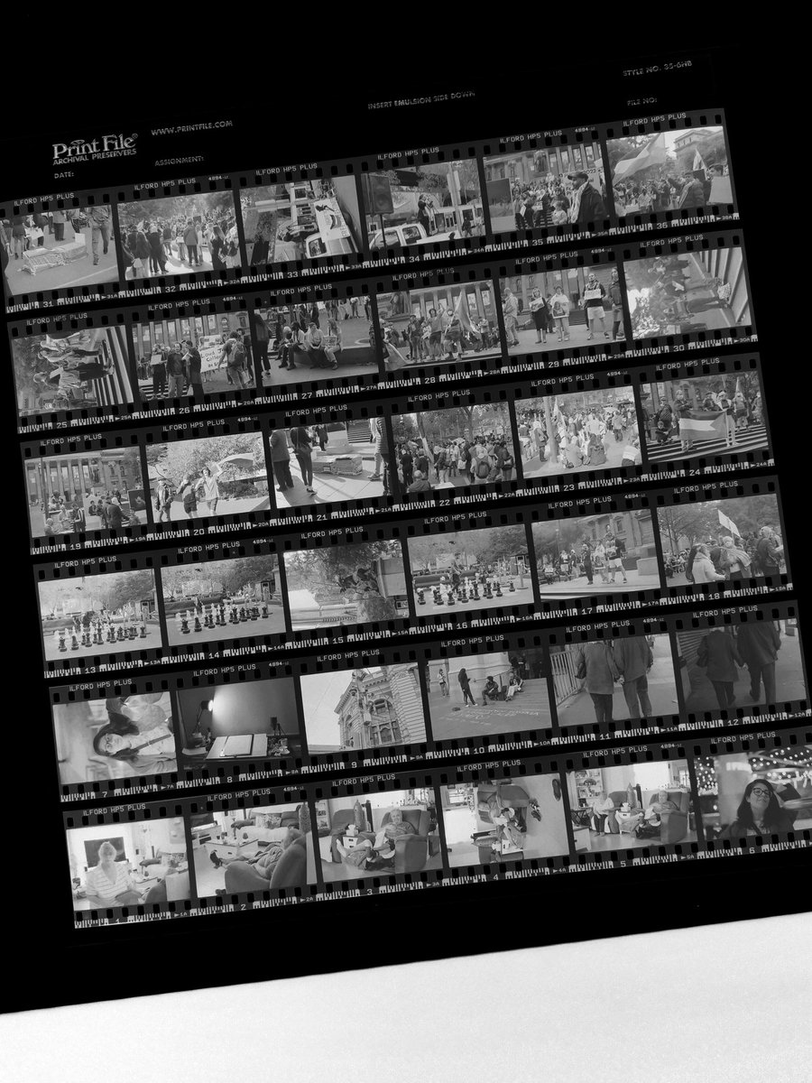 AselaDS's tweet photo. Contact sheet from a roll of black and white.

🎞️ #ilfordhp5
📷 #leicam4p #zeiss50mmf2 https://t.co/O6Dg7rC83s