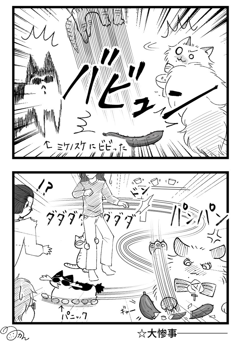 フォロワーさんからネタを頂いたのでFunky Cat VS きゅうり漫画書きました!
ミケノスケが驚かない案も考えましたが、宿泊先のホテルの電気やテレビを付けて寝る人が元ネタならこっちかなと…←