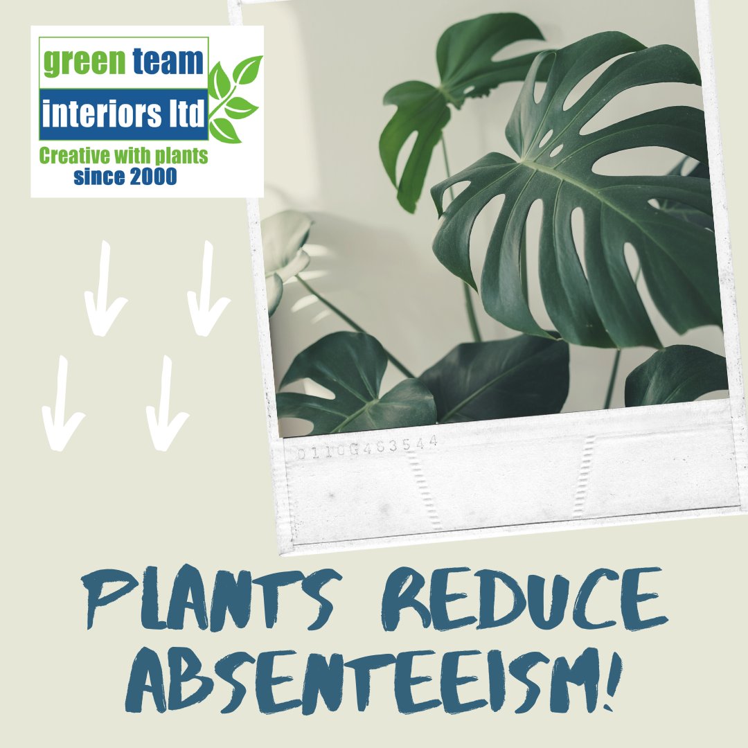Did you know having plants in the workplace can reduce absenteeism? It has been proven that the impact of working in a more pleasant environment reduces absenteeism by up to 25%! 
#greenteaminteriors #plantsatwork #healthyoffice #interiorlandscaping #officeplants