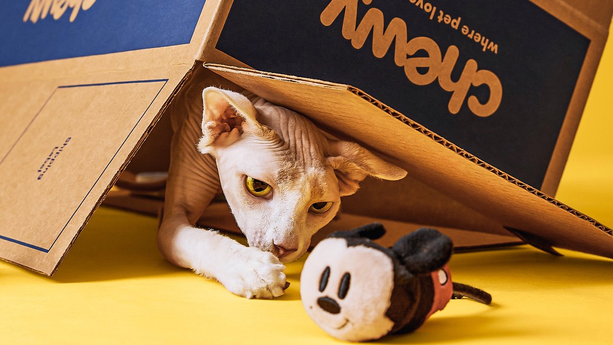 Chewy's tweet photo. Me: I got you all these toys and treats!
Cat: The BOX is AWESOME!
Thank your pet for all their quirks with up to 30% off and more once-a-year deals during #ChewyBlueBoxEvent. π https://t.co/cDWMkZ2lsl https://t.co/tkFEMd115L