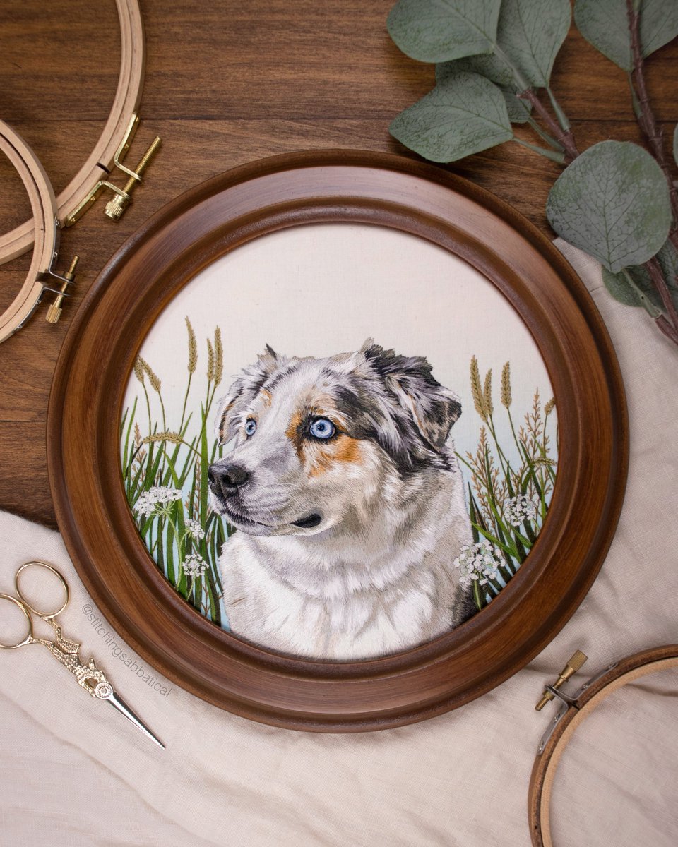 Michelle Staub tweet media