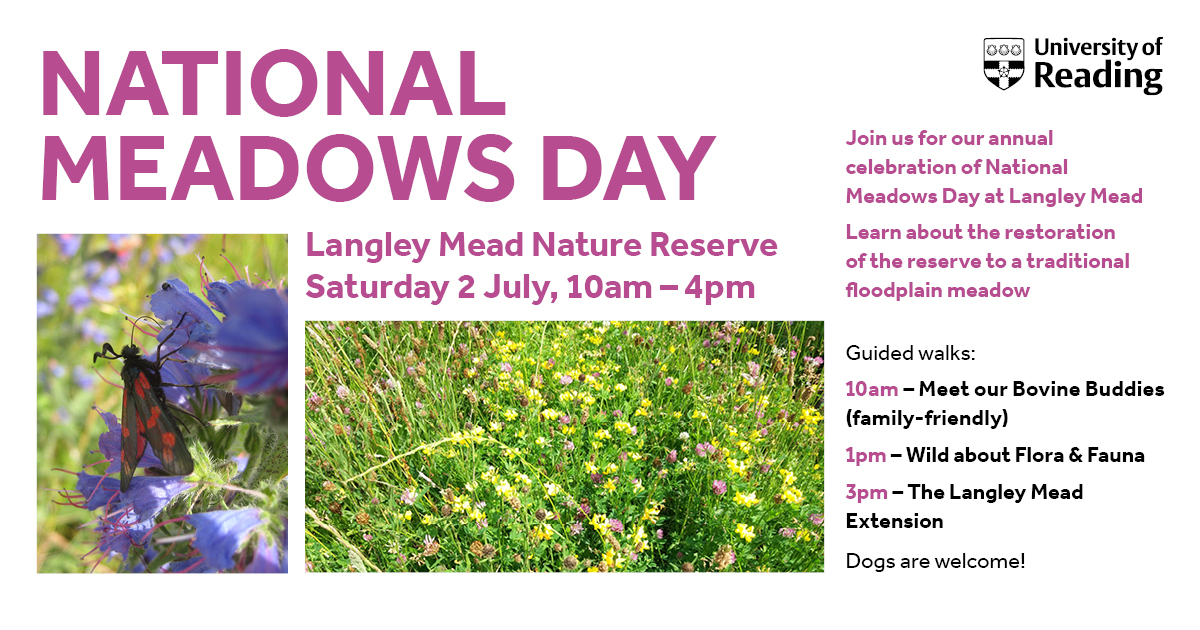 Celebrate #NationalMeadowsDay at our beautiful Langley Mead nature reserve in Shinfield, on Sat 2 July. Go on a series of guided walks and find out about the wildlife meadows, hedgerows and wetland. There’s no need to book and all are welcome. ow.ly/I6j850JEG2Z