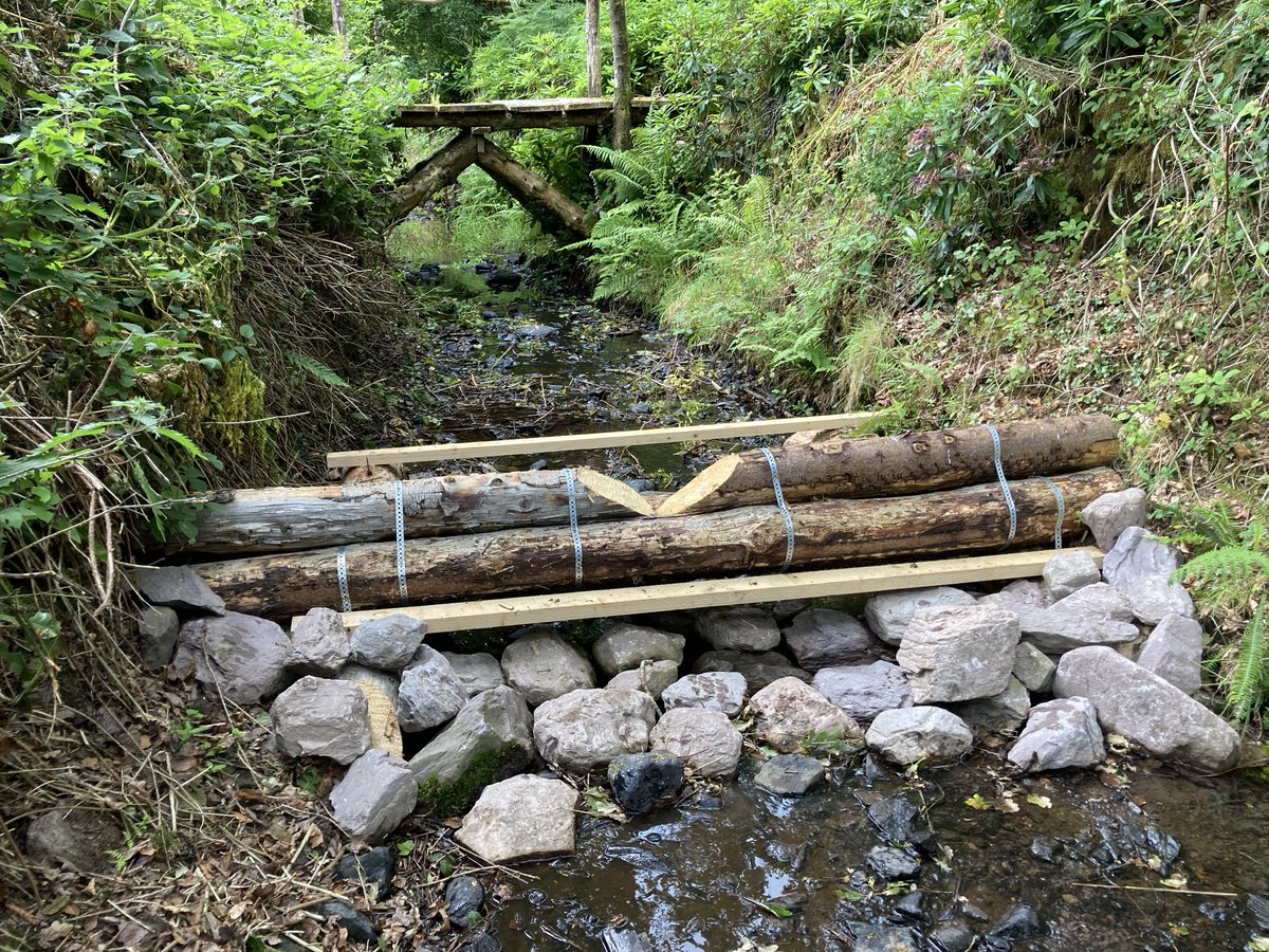 Mark Wilkinson tweet media