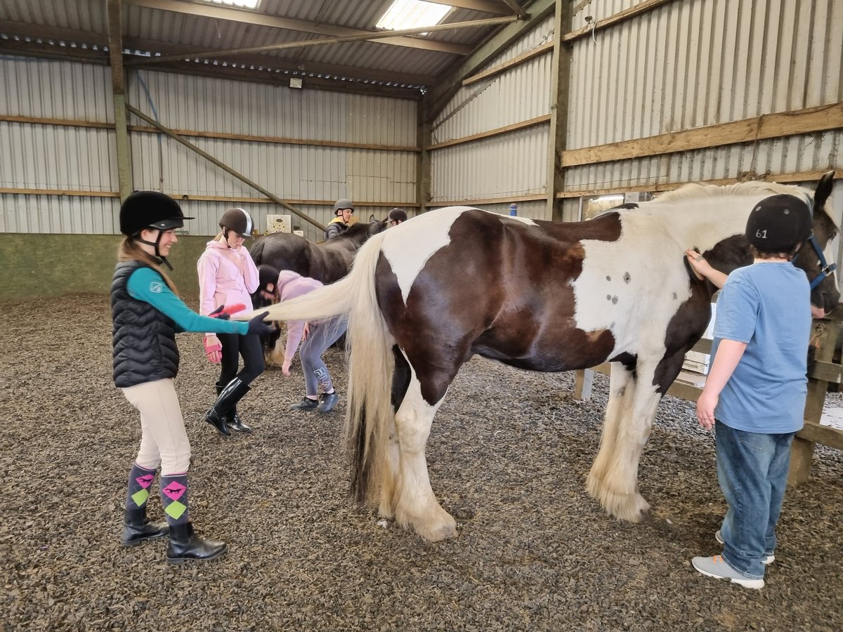 misssalvanou_he's tweet photo. Group 1 have had an amazing morning with the horses so far 😍🐴 They all did sooo well, despite some nerves - look at those smiles 😀🐴❤️ @FHS_Success @FalkirkHigh #FHSRewardsDay https://t.co/d7goEwwnWA