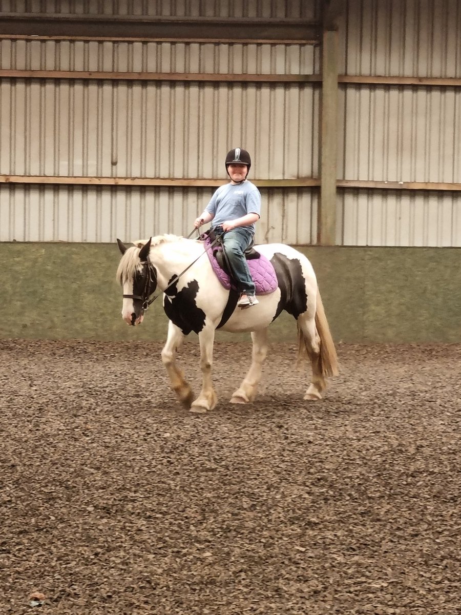 misssalvanou_he's tweet photo. Group 1 have had an amazing morning with the horses so far 😍🐴 They all did sooo well, despite some nerves - look at those smiles 😀🐴❤️ @FHS_Success @FalkirkHigh #FHSRewardsDay https://t.co/d7goEwwnWA