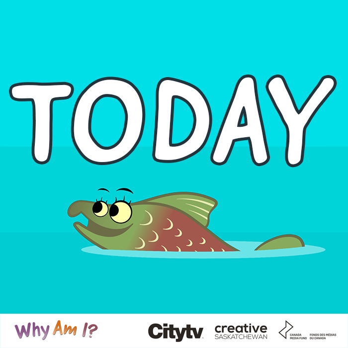 WhyAmIKids (@whyamitvshow) on Twitter photo NEW EPISODES airing today at 7:09am, 7:16am, 8:51am, 8:58am, 10:47am and 10:55am!
#WhyAmIKids on <a href="/City_tv/">Citytv+</a>
<a href="/creativesask/">Creative Saskatchewan</a> <a href="/CMF_FMC/">Canada Media Fund</a> NEW EPISODES airing today at 7:09am, 7:16am, 8:51am, 8:58am, 10:47am and 10:55am!
#WhyAmIKids on <a href="/City_tv/">Citytv+</a>
<a href="/creativesask/">Creative Saskatchewan</a> <a href="/CMF_FMC/">Canada Media Fund</a>