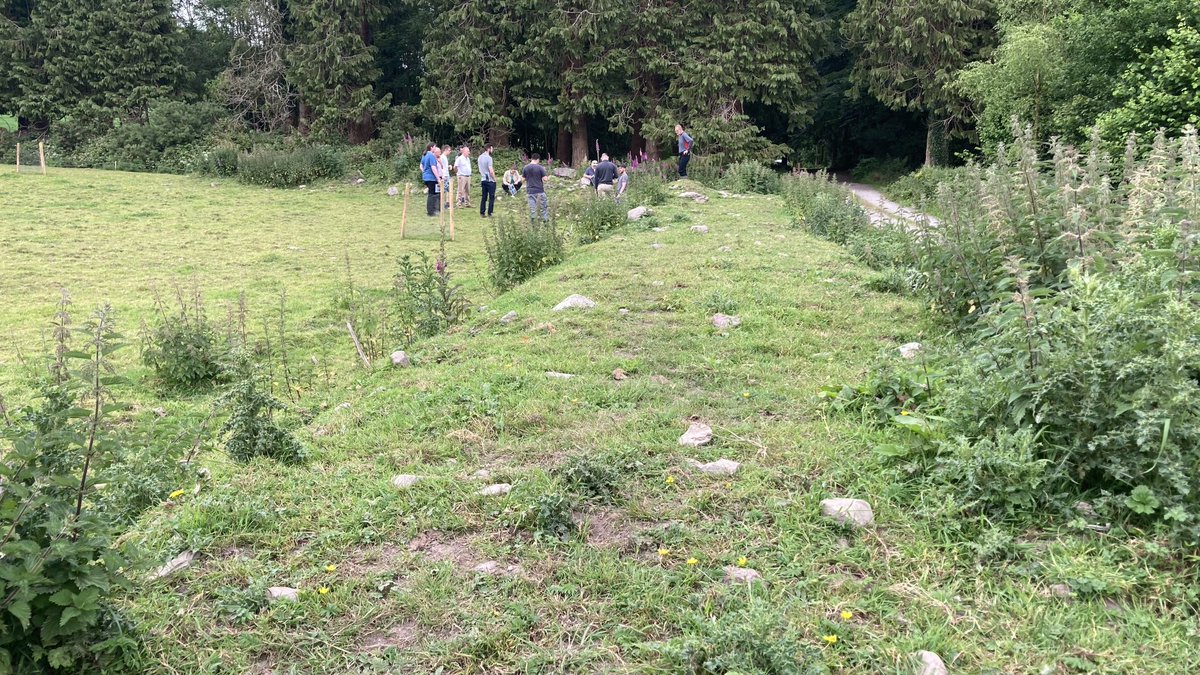 Mark Wilkinson tweet media