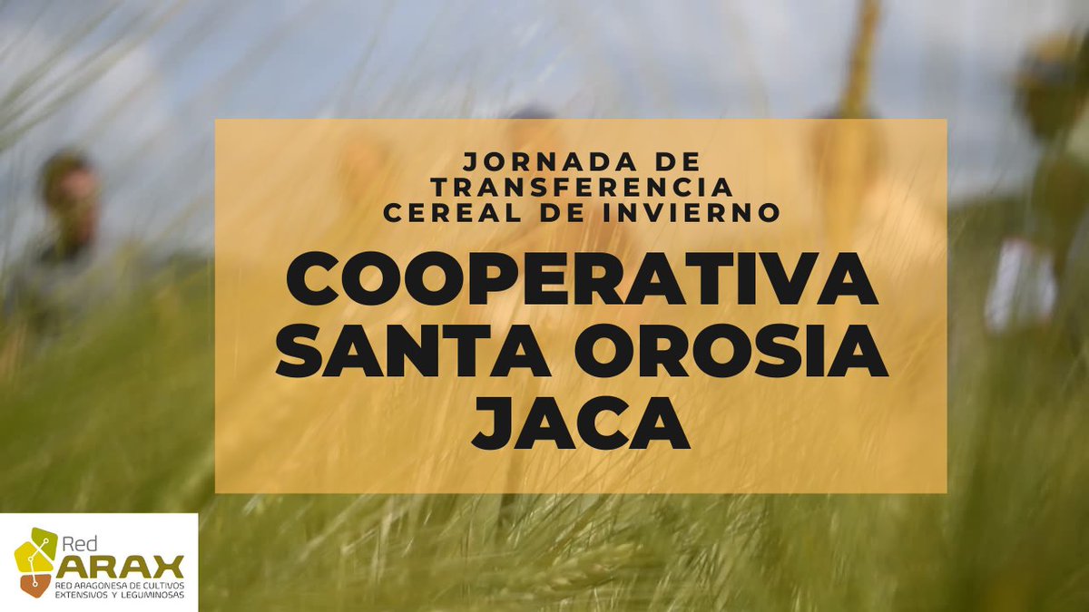 red_arax's tweet photo. 🆕Jornada de Transferencia de Cereal con @OrosiaSanta en  #Espuéndolas, #Jaca. 

✅Ensayos de #cebadas, #trigos blandos de invierno, avenas y camelina de la red @GENVCE 
 
🎥 ¡No te pierdas este video para ver los resultados del ensayo! ⬇⬇
https://t.co/UlqFhgdFOb https://t.co/GHX0BmU1o2