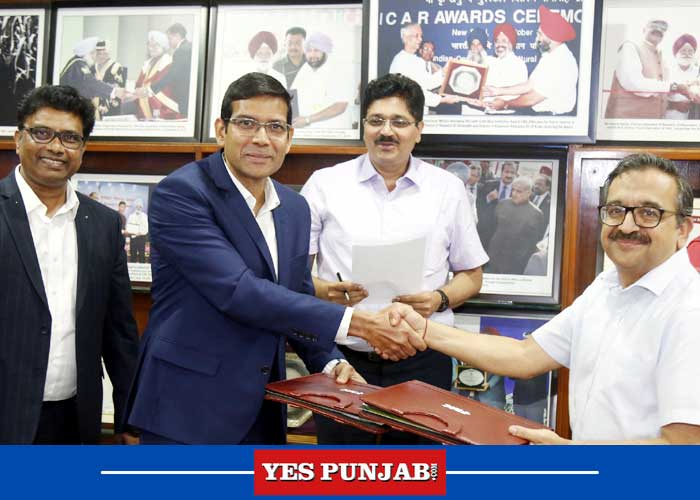 yespunjab's tweet photo. PAU signs MoU with Mumbai based FMC India Pvt Ltd https://t.co/8HFiZVisUk
#PAU #SignsMoU #Mumbai #FMC #India #YesPunjab https://t.co/1mXcfye1jG