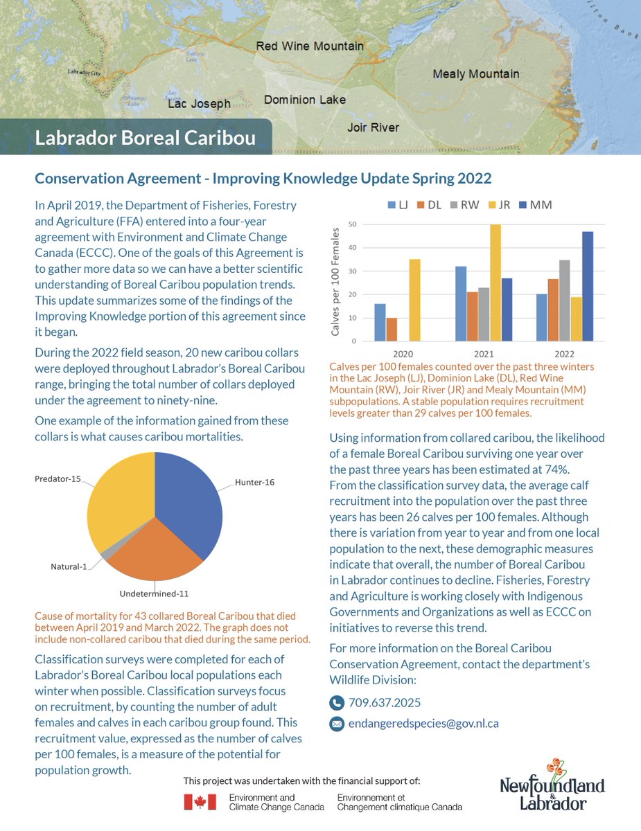 Labrador Boreal Caribou conservation update from <a href="/GovNL/">Government of Newfoundland & Labrador</a> and <a href="/environmentca/">Environment Canada</a>. #paigitsiaguk #takecareofit