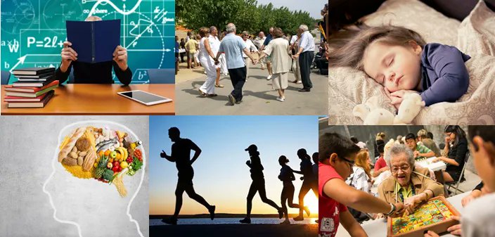 PsychiatryAmsterdam (@psychres) on Twitter photo You can now read about the key findings of <a href="/LifebrainEU/">Lifebrain</a> in this short summary! buff.ly/39EXpcR You can now read about the key findings of <a href="/LifebrainEU/">Lifebrain</a> in this short summary! buff.ly/39EXpcR