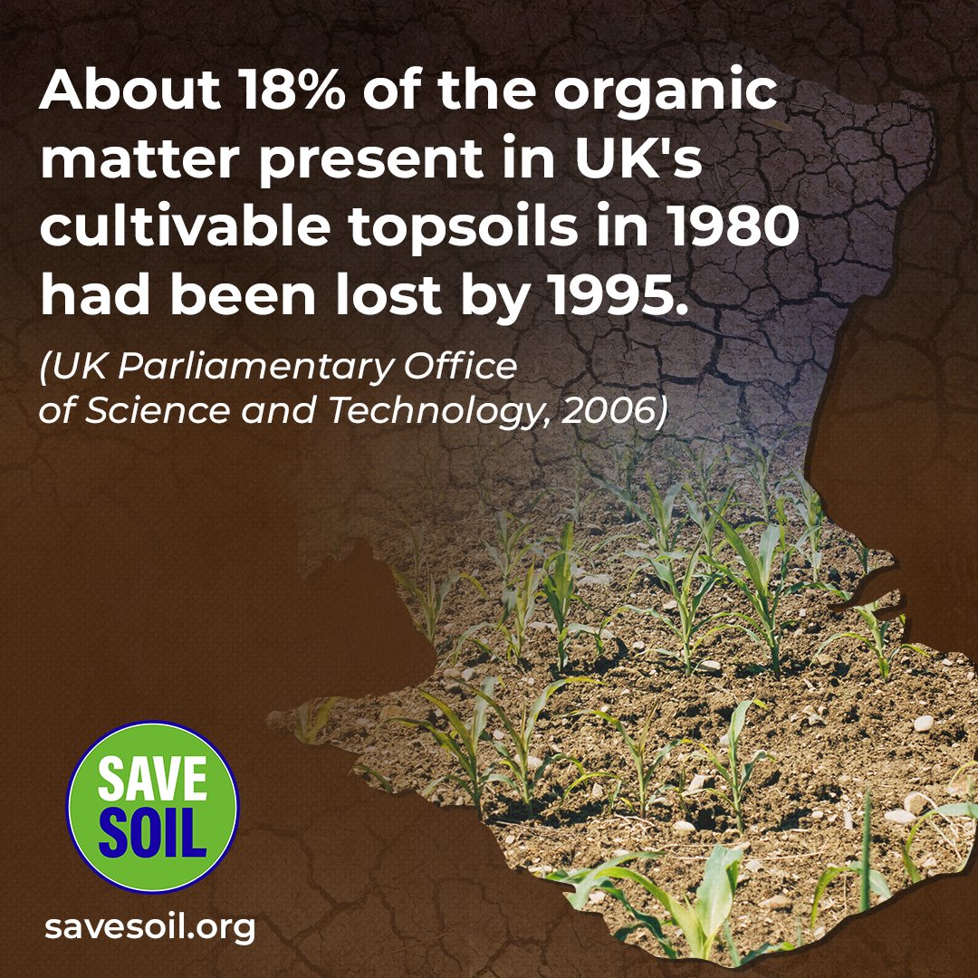 MaxForrow's tweet photo. About 18% of the organic matter present in UK's cultivable topsoils in 1980 had been lost by 1995. (UK Parliamentary Office of Science and Technology, 2006) #SaveSoil https://t.co/SCY4HPT4Ng @cpsavesoil @SadhguruJV https://t.co/f2c0PsoK6U