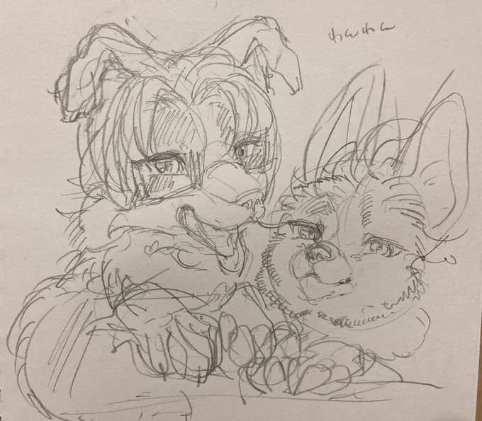 てんかさん(@Jokitanakasouki )からのリクエスト🎈
御法川+菅地コンビとミノキサちゃん🐶🐶🐶 