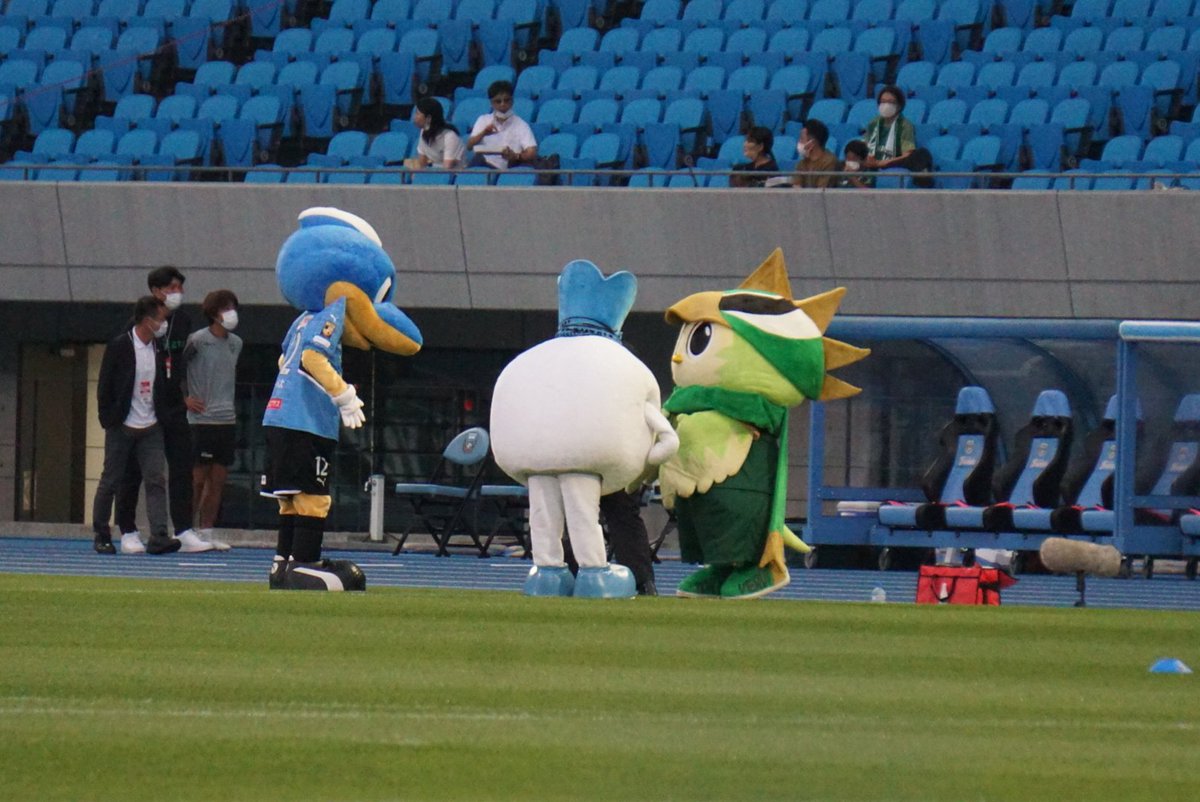 soccermaneja's tweet photo. リヴェルンFUJIFILMぶりー!!
やっぱ可愛いのう……今日来るって知らなかったからめちゃくちゃ嬉しかった!!
またおいでね!!次は負けないからっ!!
#verdy #reverun https://t.co/bh4YgVrJqD