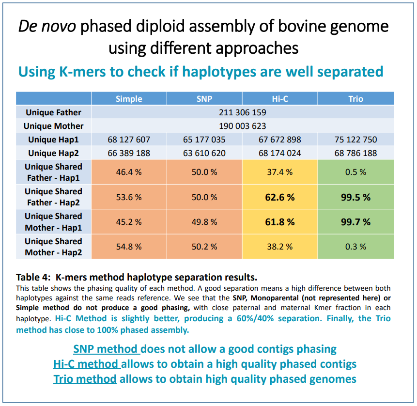 GeT_Genotoul's tweet photo. @fr_genomics @PacBio @Occitanie @INRAE_Tlse @INRAE_France @INRAE_Genomics @BioinfoGenotoul @Genotoul @UMR_GABI @Allice_Elevage @illumina ↪️De novo phased diploid assembly using different approaches
Phasing quality of different assembly methods tested with #SeqOccIn:
➡️The Trio method has close to 100% phased assembly
➡️The Hi-C method produces a 60%/40% separation https://t.co/UFE2ygMzXA