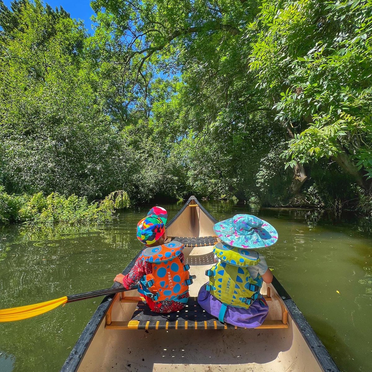 Steve Backshall tweet media