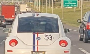 CoachVaedster's tweet photo. @CoachBonetti @jfiorenza25 @meredith11321 Herbie was a love bug. Saw him yesterday. Maybe you should have a 3rd option. https://t.co/BhNplNNDEj