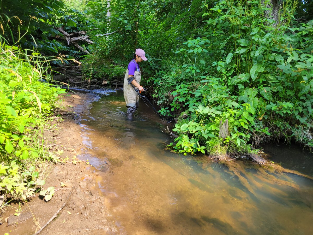 MattAshton81's tweet photo. It's a hot one doing #PITtag monitoring of #FreshwaterMussels https://t.co/pQQ8h02T20