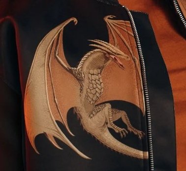 PortalASOIAF's tweet photo. MEU DEUS! Reparem que os dragões nas estampas da jaqueta tem cores diferentes. Será que essa é uma arte do Sunfyre, dragão de Aegon II?
#DayoftheDragon #HouseoftheDragonHBO https://t.co/Es7eh51OnW