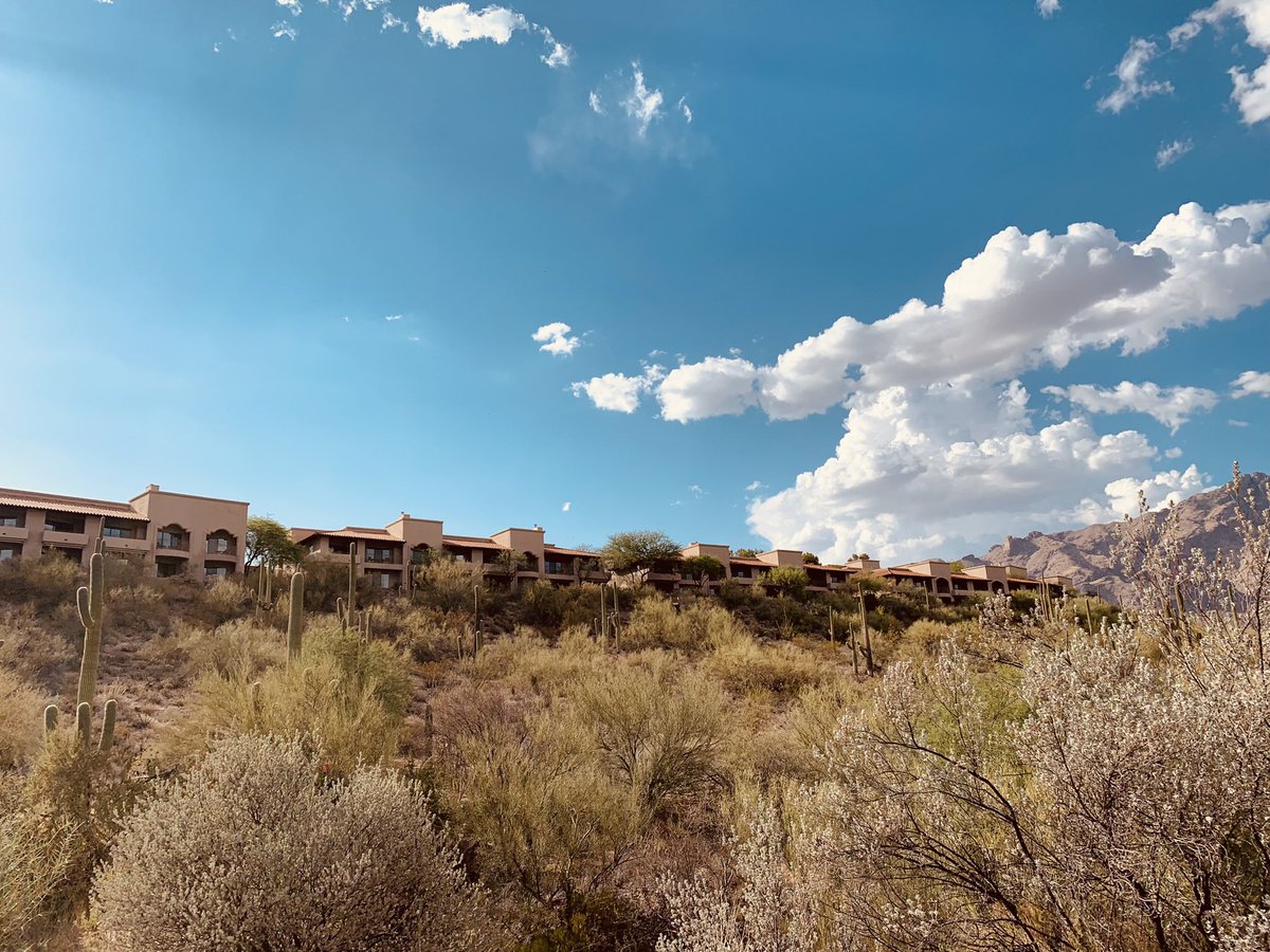 AECheeseman's tweet photo. Leaving exhausted but motivated for  🐿🦨🐕🦌🐀🐇 collaborations after seeing old friends, making new ones and nerding out at #asmtucson see you next year in Alaska @MammalMeetings https://t.co/j07mpeKucA