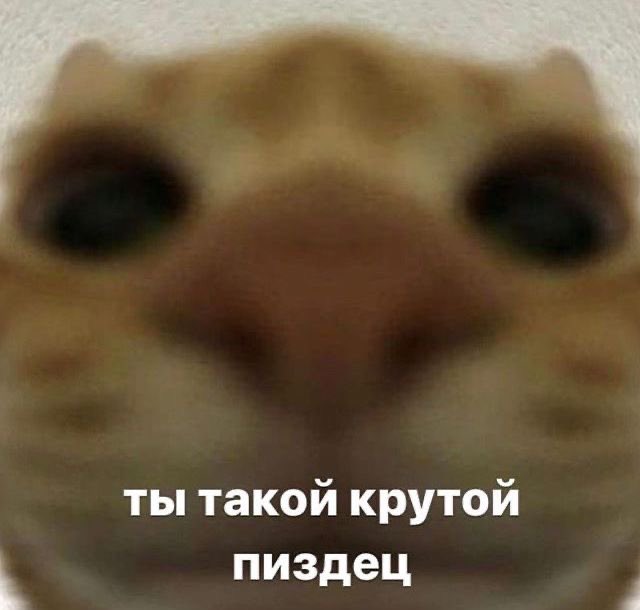 mor tweet media
