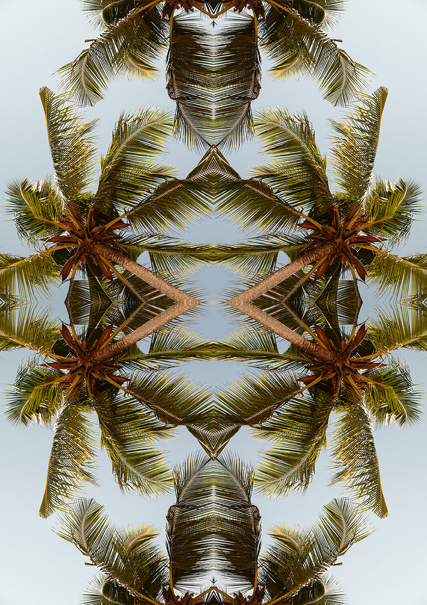 <a href="/NFTcollector00/">The collector</a> Tropical Warrior 
🌴