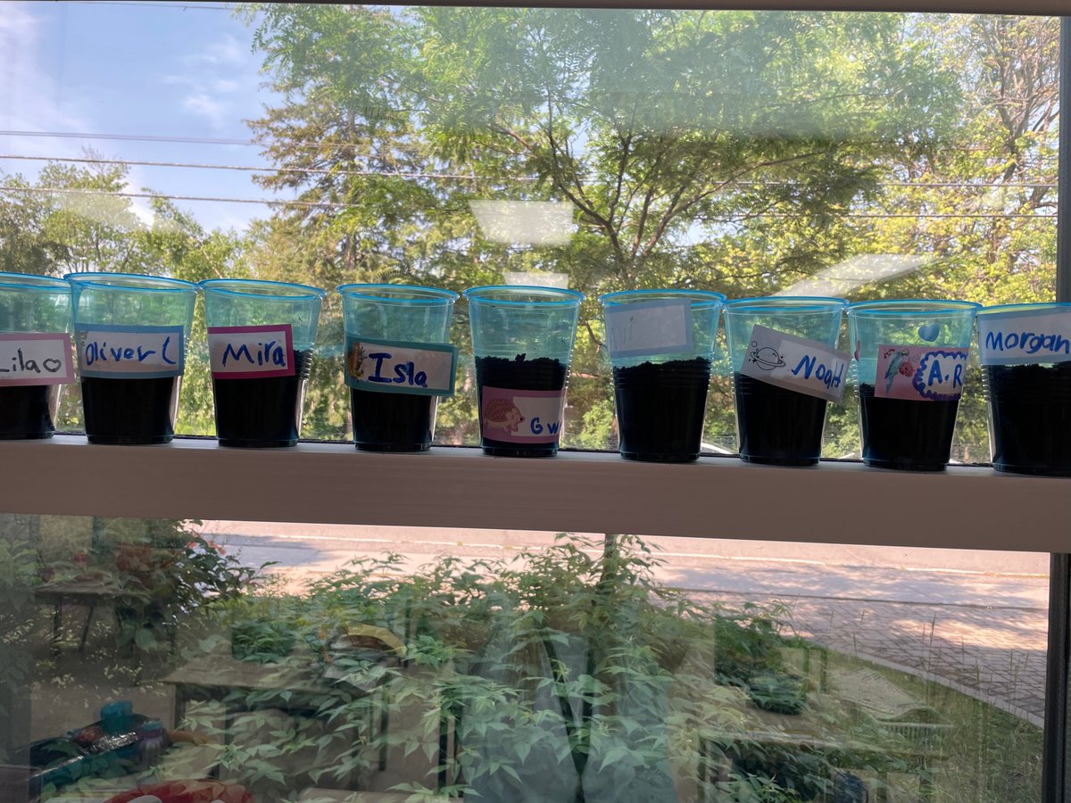 MsMJohnston's tweet photo. Yesterday in Grade 2 we planted seeds! We hope they sprout before the end of school. 

Today we made plant books to help us understand the plant life cycle and how to care for our plants! @OCDSB @HilsonAvenuePS https://t.co/YfWs9fq1O4