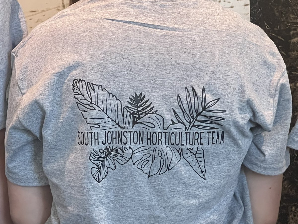 South Cheerleading tweet media