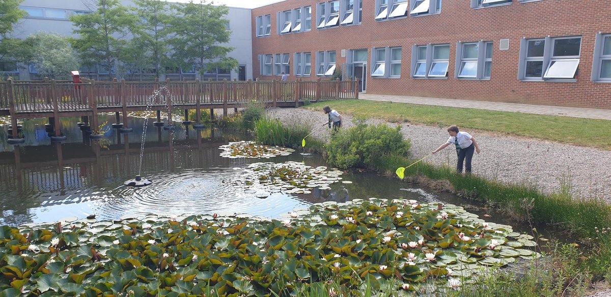 The Stockwood Park Academy tweet media