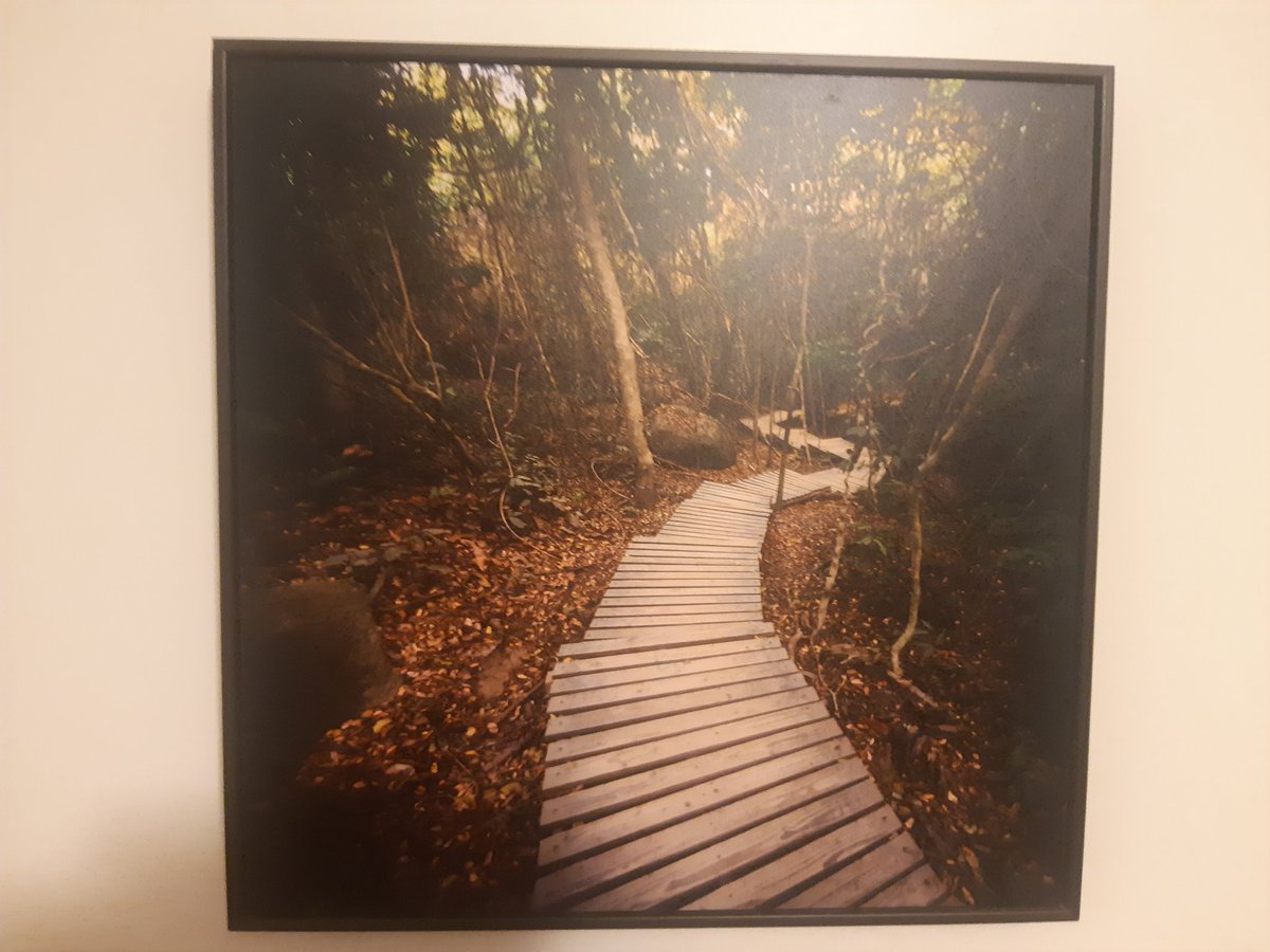 voltairemelkor's tweet image. #thepath #guidewords #aardvark #zyzzyva