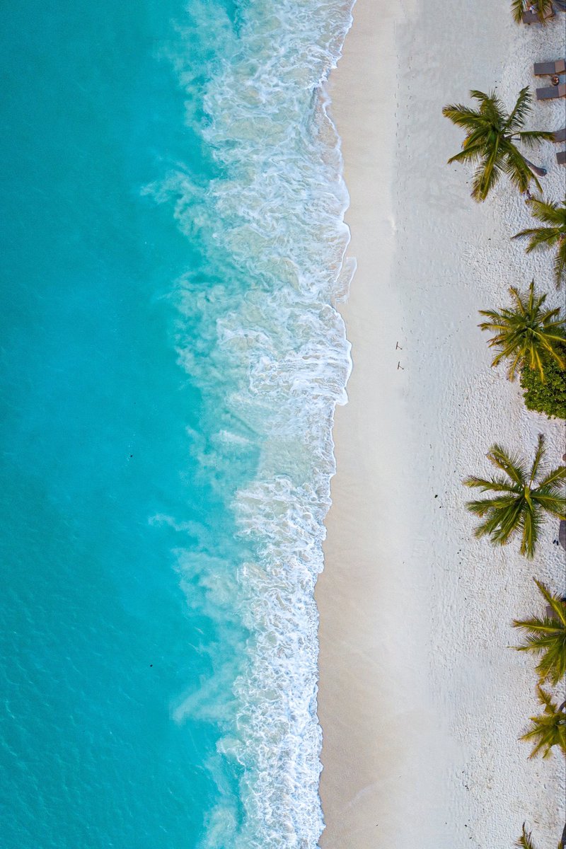 visitzanziba's tweet photo. Zanzibar is the only place in the world where you can enjoy to the fullest https://t.co/dqYIDmRDHY