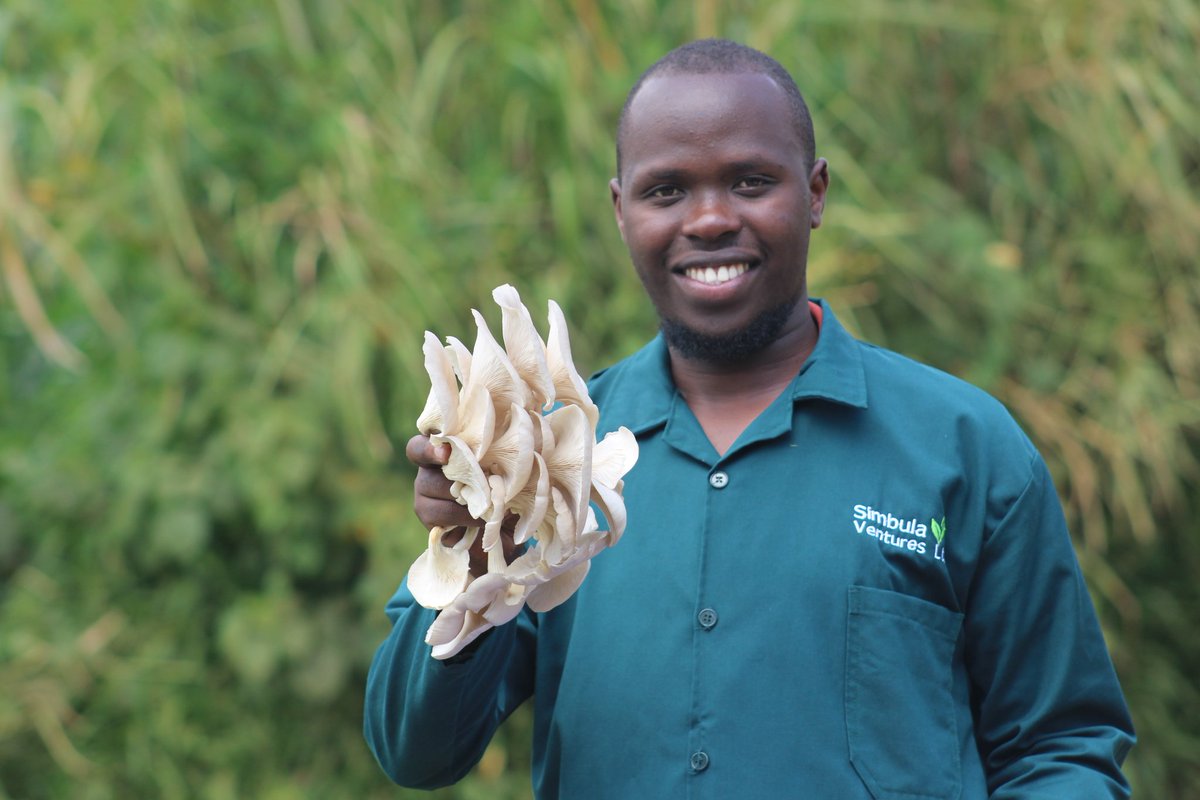 SIMBULA VENTURES tweet media